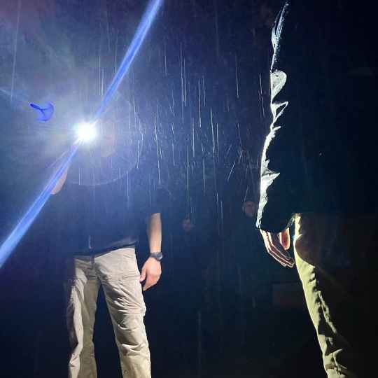 Tactical flashlight in gebruik